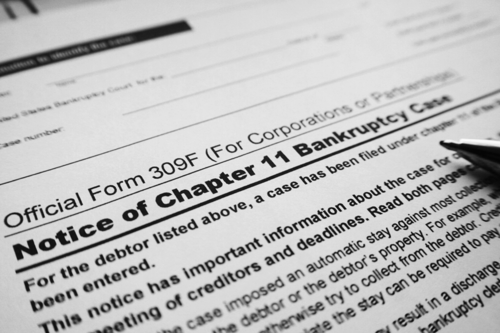 Petition Form for Chapter 11 Bankruptcy